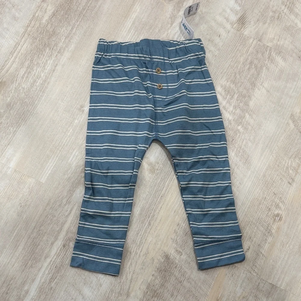 Carter's Blue Striped Kids Pants